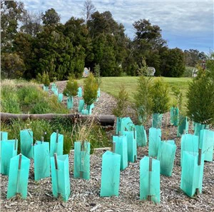 Vine Guard Plantering Träd Skydd